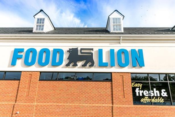 Food-lion-to-buy-62-stores-from-southeastern-grocers-in-the-us