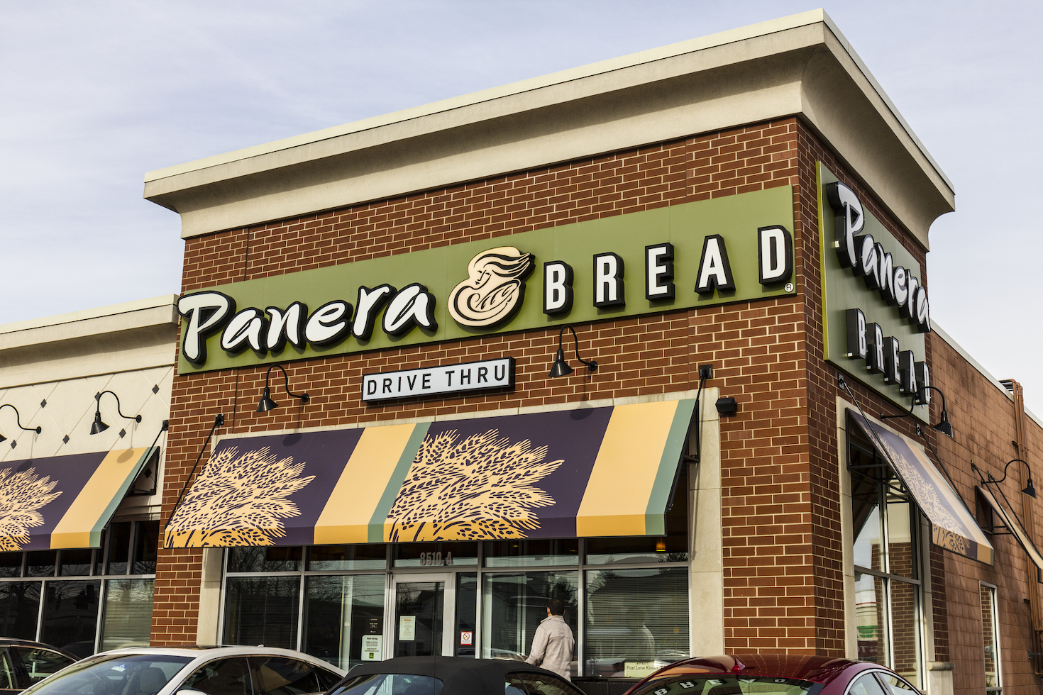 Panera_bread
